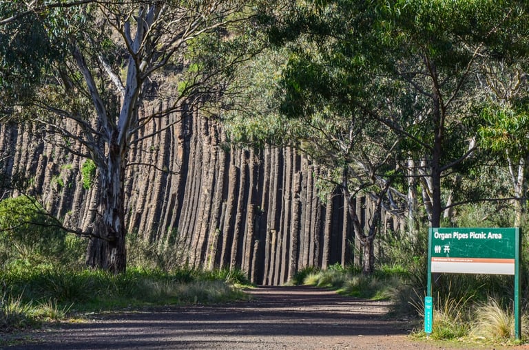 Organ Pipes National Park