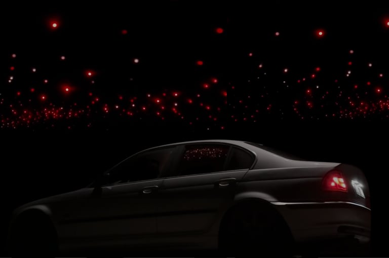 Einbau eines (Sternen-)Dachhimmels, Versand und Werkstattservice