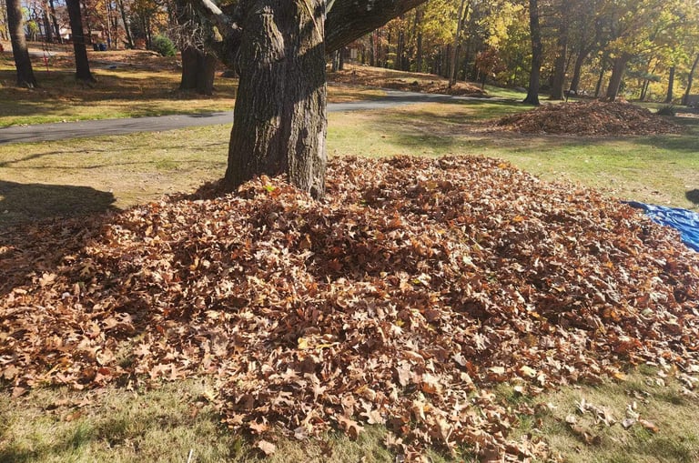 leaf cleanup by capstone in North Shore, MA
