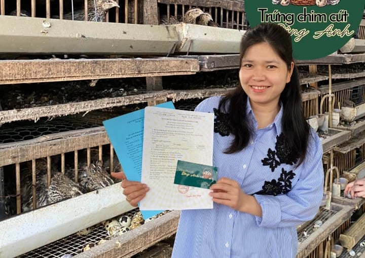 trứng chim cút bóc sẵn Đông Anh, Hà Nội, chim cút thịt, chim câu thịt giá sỉ