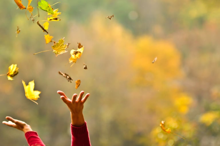 Kan psykoterapi hjælpe dig med at få det gode liv?