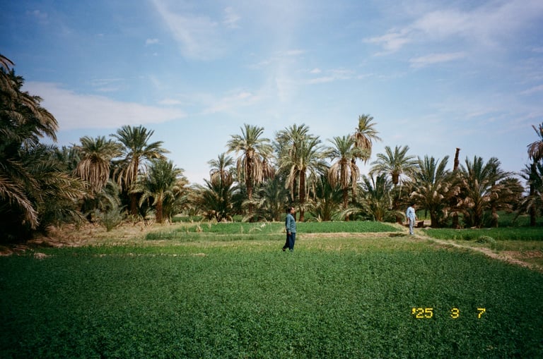 Lut Desert