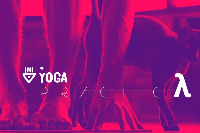 PRACTICA YOGA