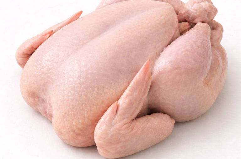 Fresh halal whole chicken export quality Pakistan
