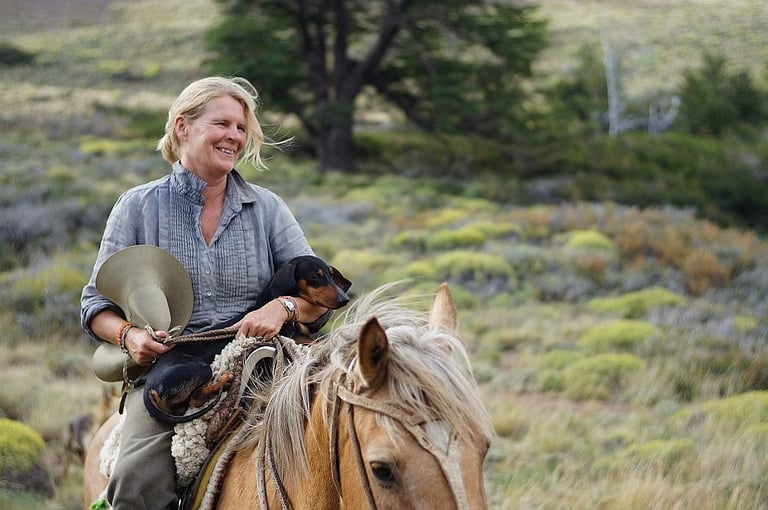 A person on horseback holding a small dog.