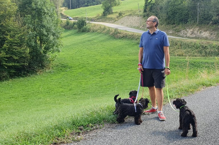 Eleveur et ses Schnauzers en balade