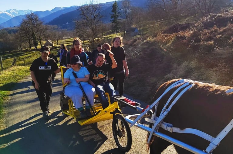 balade accompagnée en carriole