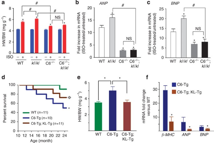 Survival curves for mice with Klotho overexpression