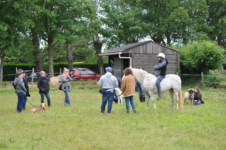 un groupe echange avec un equicoach (Rémi Bleibtreu) entouré d'un cheval et de chiens