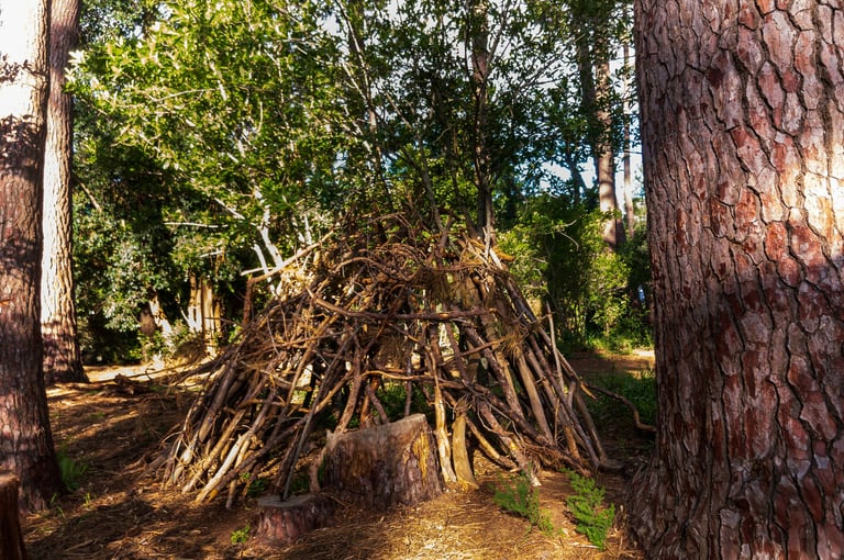 building shelter in the wild