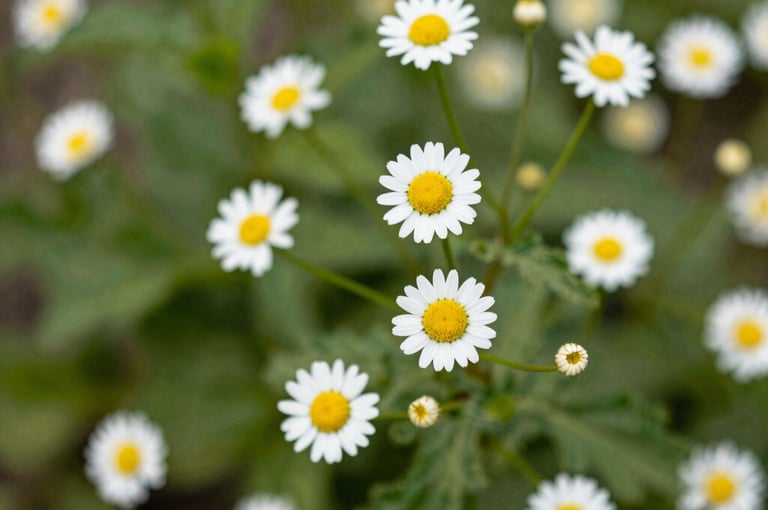 Bright living room with modern inventory
