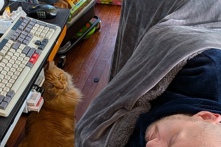 This cat is an addict. He is trying to get catnip treats from a sleeping man.