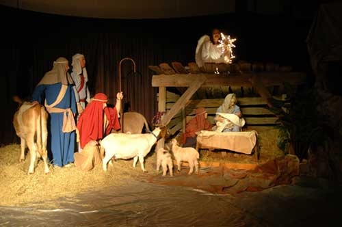 Live Nativity scene with animals