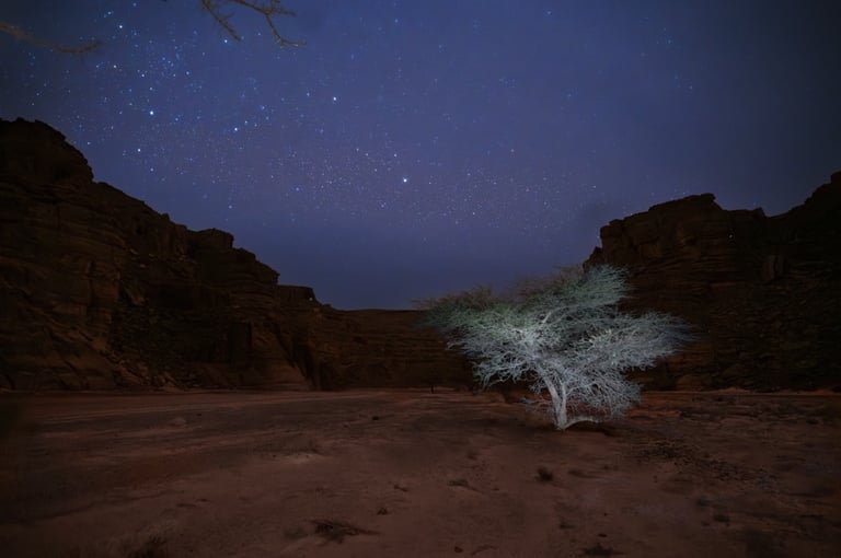 Nightscape, Voie Lactée, Milky Way, Via Lattea, Paysage Etoilé, Starry Landscape, Paesaggio stellato