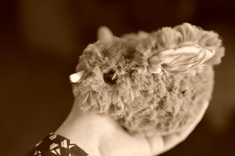 peluche poussin tenue dans une main, gros plan sur le lien et la douceur