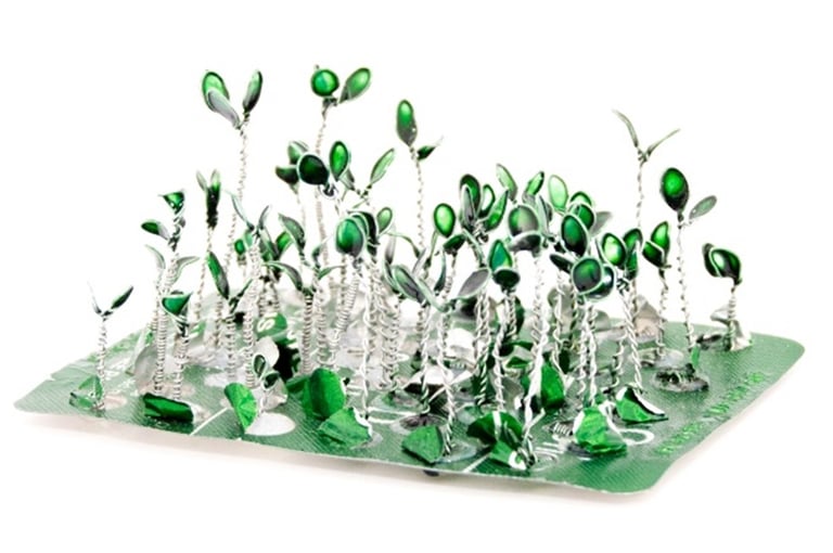 Wire Seedlings 