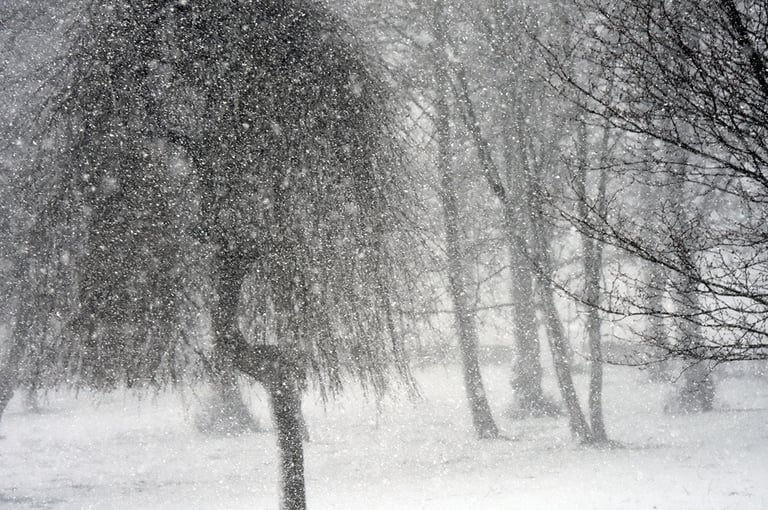 a snow covered park and it's snowing