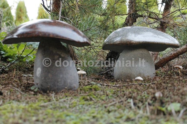 gaminiai iš akmens, grybai, skulptūra