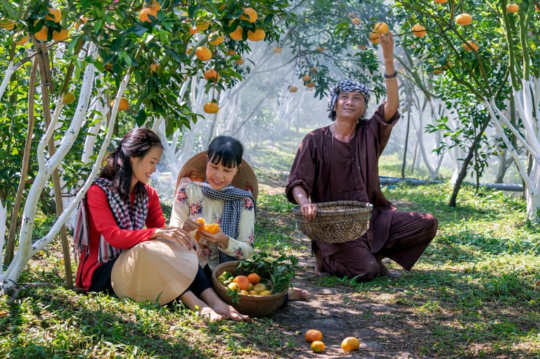 Three people picking oranges in an orchard, symbolizing unity and abundance.