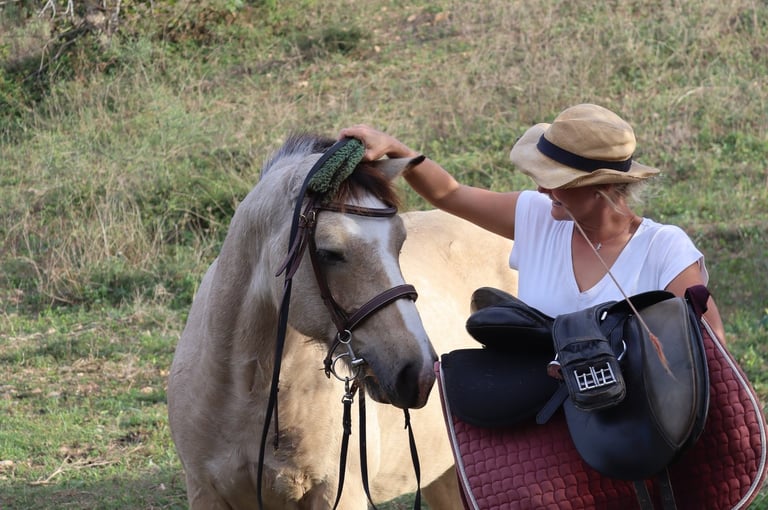Pferd und Reiterin beim Training in der Sonne Mallorcas
