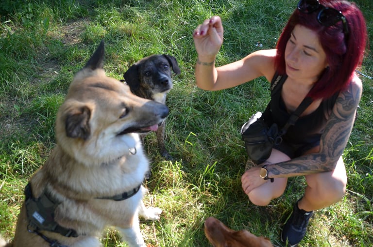 Dogz' Erding Hunde-Ernährungsberatung