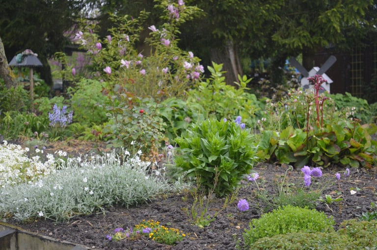 Créations de massifs à Soisy-sur-Seine et aux alentours.