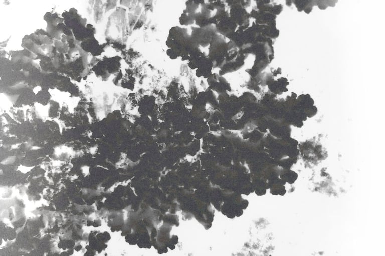 textura organica de la corteza de un arbol en blanco y negro