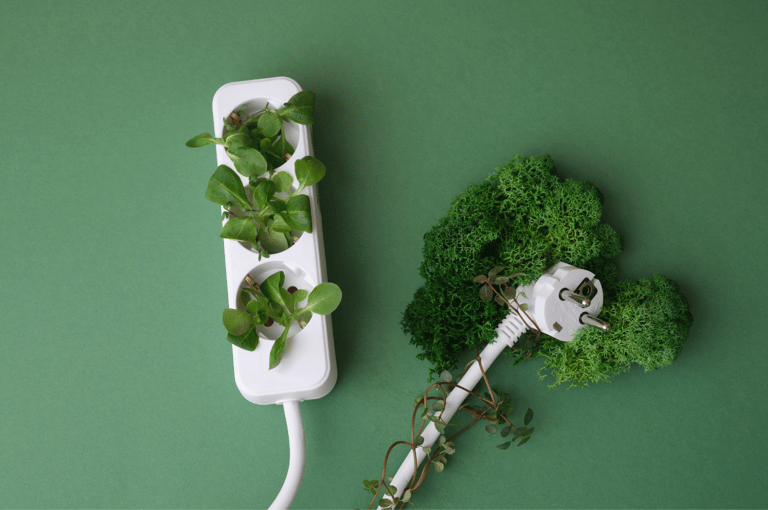 Numérique Responsable en 2025 : un pilier incontournable de la RSE