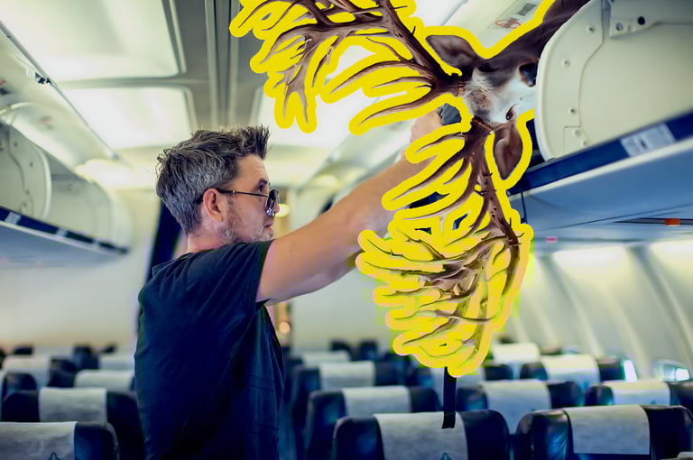 a man stuffing deer antlers in an over head bin on a plane