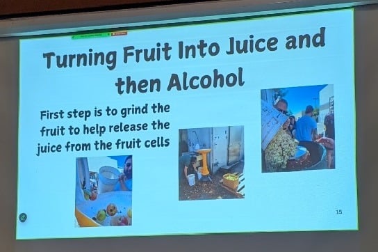 Turning fruit into juice and then alcohol. First step is to grind the fruit