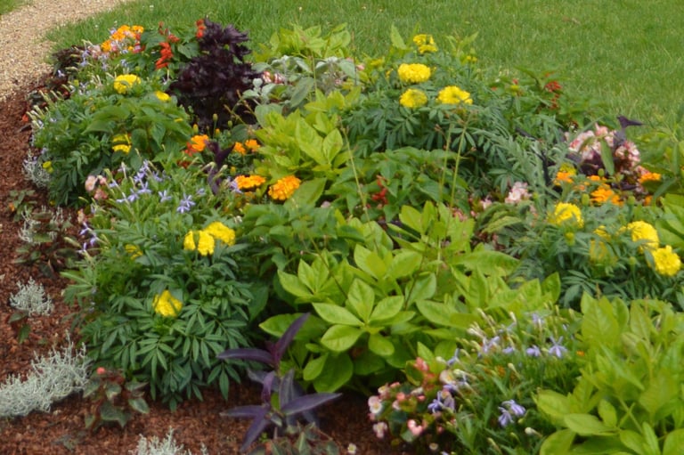Création de massifs à Soisy-sur-Seine et aux alentours.