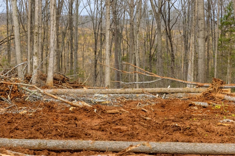 TREE-MENDOUS Tree Service