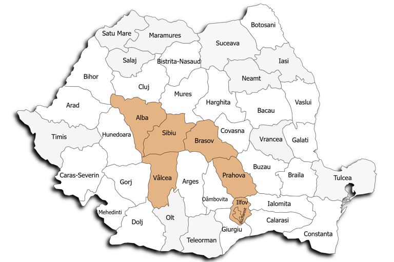 Unde il poti gasi pe Dr. Virgil Gita