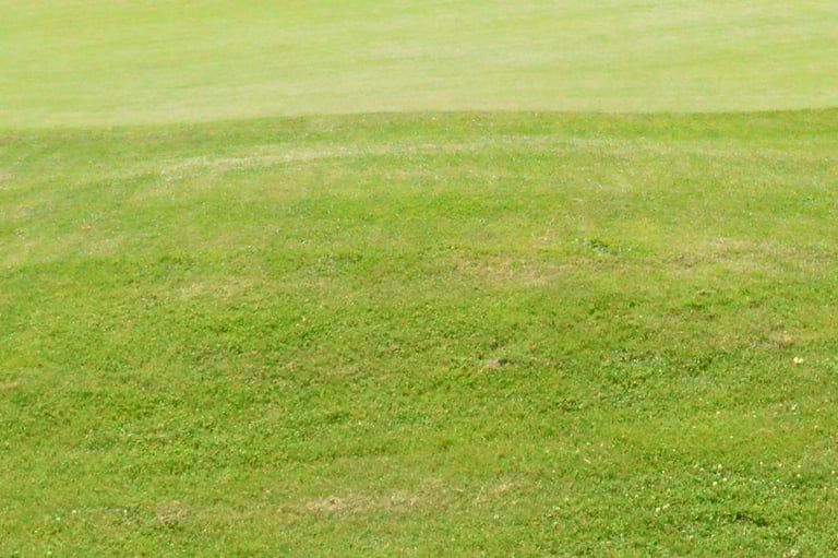 Tonte de pelouses à Soisy-sur-Seine et aux alentours.