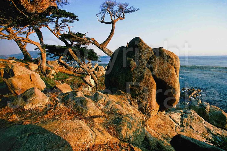 The shoreline at Point Lobos, California, in the 1970s by James Drake