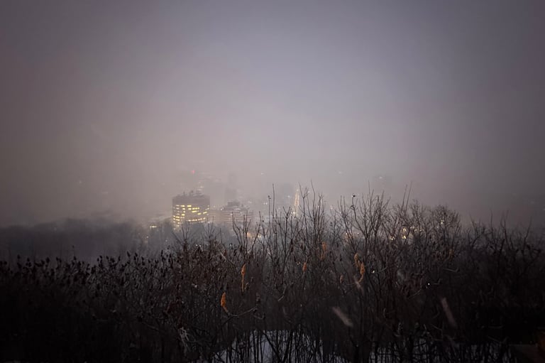A very snowy Montreal skyline from Kondiaronk Belvedere