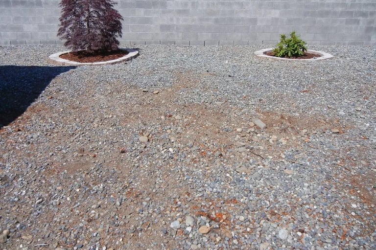 Area after stump grinding, stump removed and ground levelled in a gravel garden