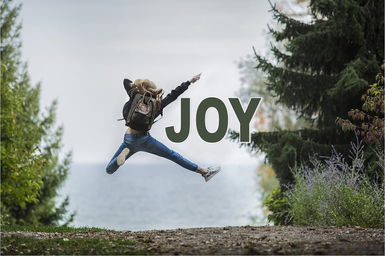 Joy - Christian Resource Library