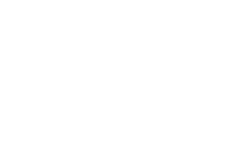 Nee Studio Logo