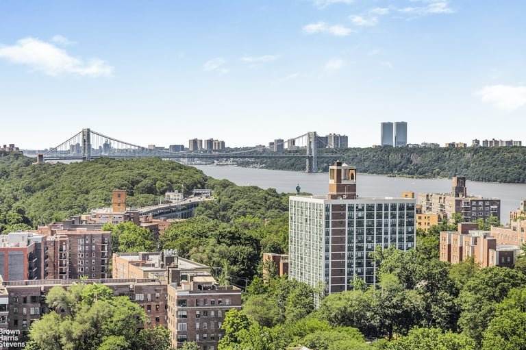 Actual view from a Riverdale co-op