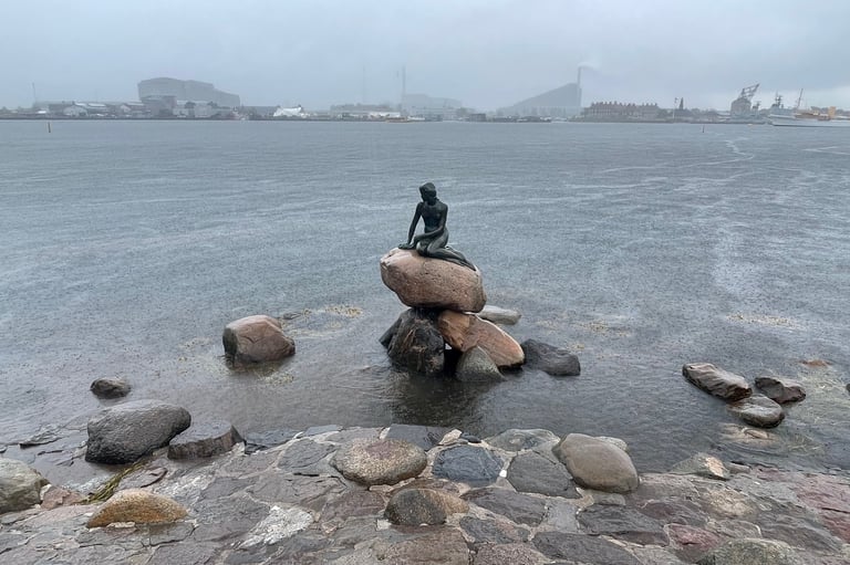 a wet copenhagen and the statue of the little mermaid, Denmark