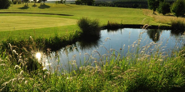 Golfteiche Reinigen Berufstaucher