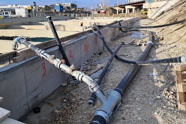 Teichreinigung Teichentschlammung Berufstaucher