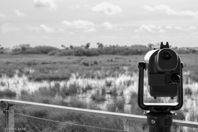 a telescope overlooking a swampy nature preserve in the everglades florida