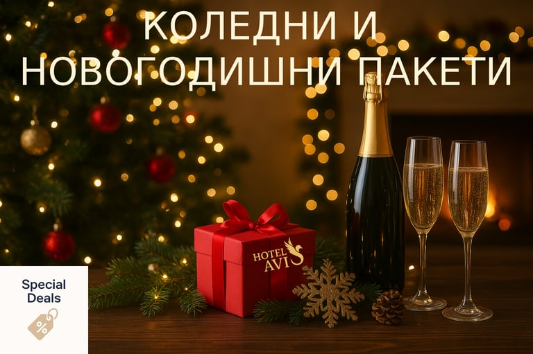 Коледни и Новогодишни оферти хотел Авис Сандански