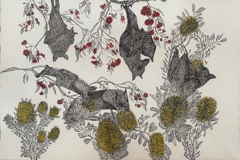 flying foxes artwork