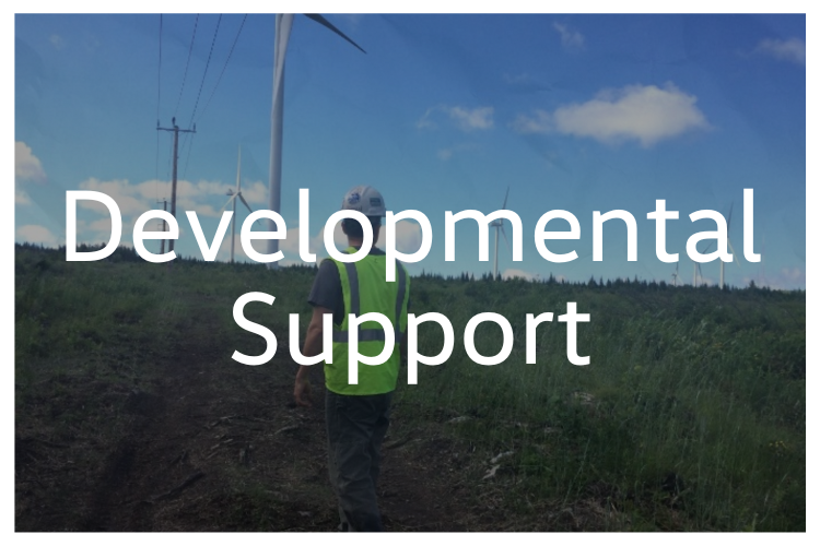 Developmental Support Tab