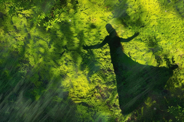 Psicoterapia per il lutto complicato | online o in presenza