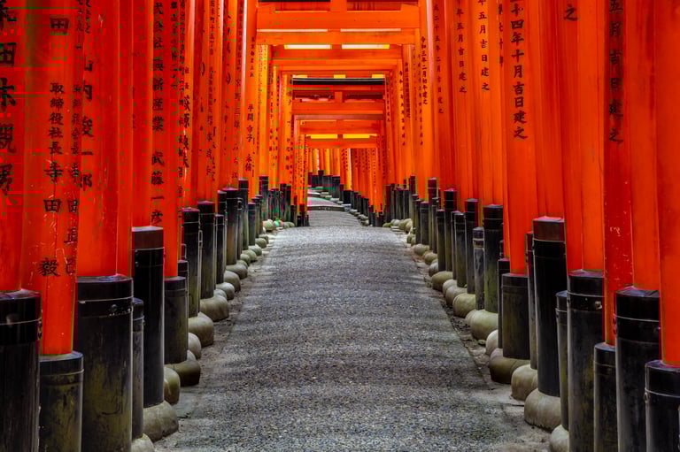 TORII GATES
