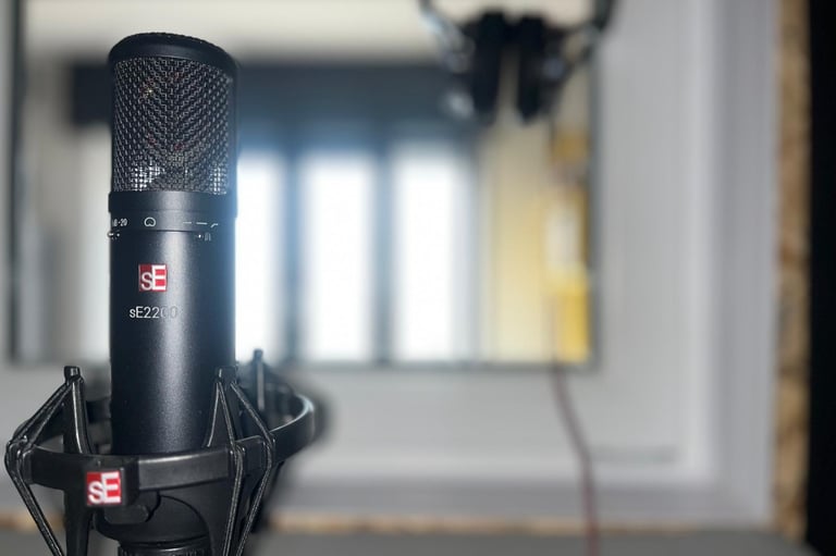 Microfono da registrazione